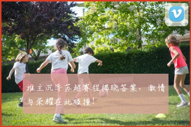 谁主沉浮苏超赛程揭晓答案，激情与荣耀在此碰撞！